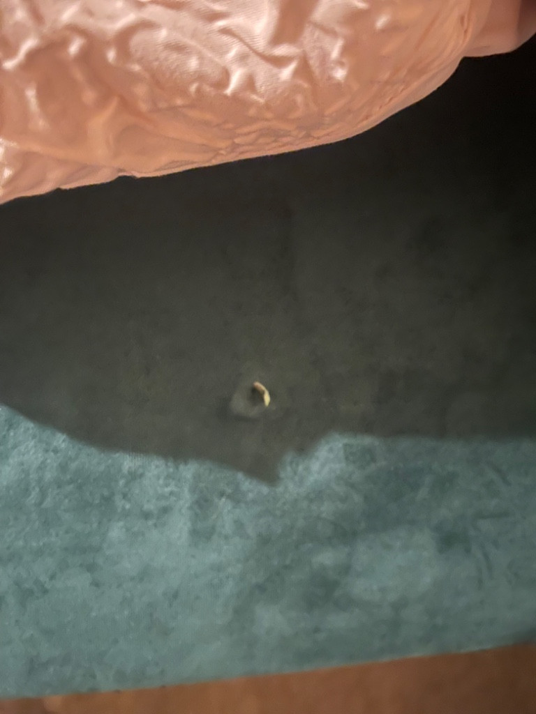 Second photo by Sondos Ismaeel of Removals Zone - Large