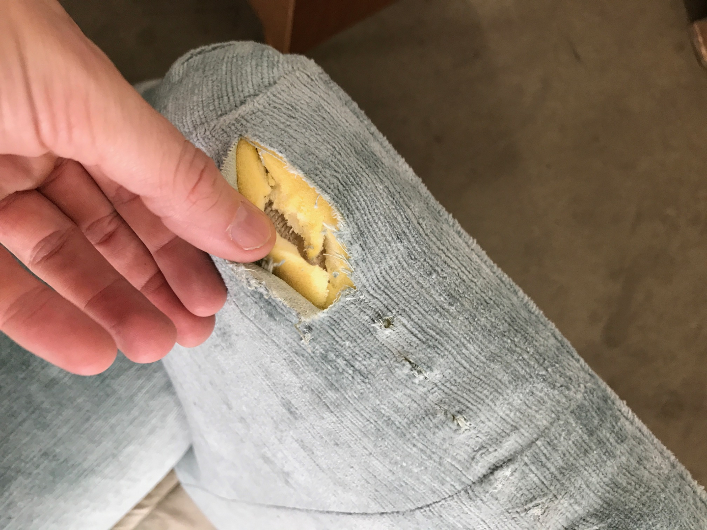 Second photo by Rachel Slimmings of Removals Zone - Large