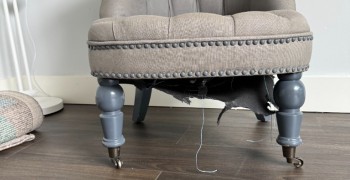 Thumbnail photo by Emma Mace of Removals Expert