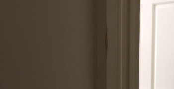 Thumbnail photo by Jamal of Best Rate Removals Ltd