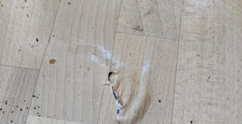 Thumbnail photo by Dell Baines of Cornerstone Removals