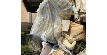 Second thumbnail photo by Laurent Jeanmart of Top Removals