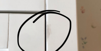 Second thumbnail photo by Moved Once of Divino Moves