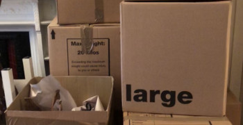 Thumbnail photo by Irina of Legend Removals