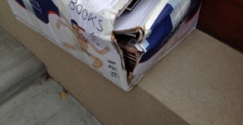 Second thumbnail photo by Clarice of Moving Home Company