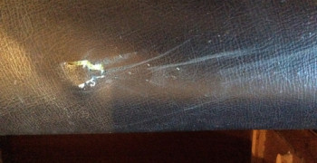 Thumbnail photo by Rhona of Ants Removals
