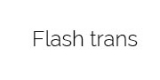 FlashTrans Logo