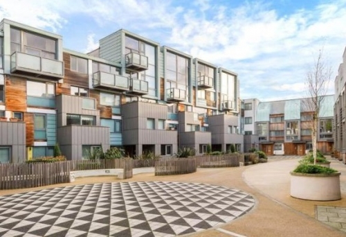 Photo by Jack of Trek Removals - Large