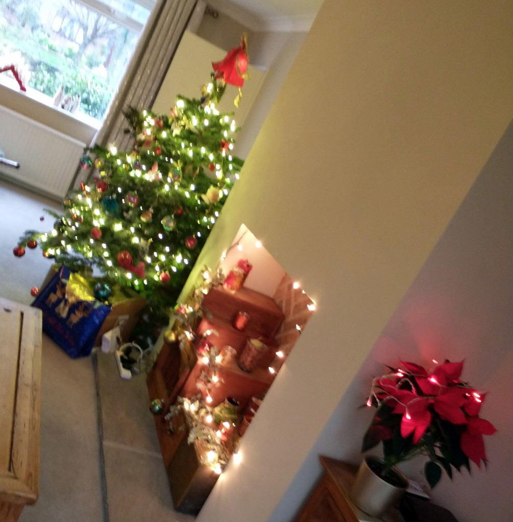 Photo by Alison Farr of Move it with Mee Removals - Large