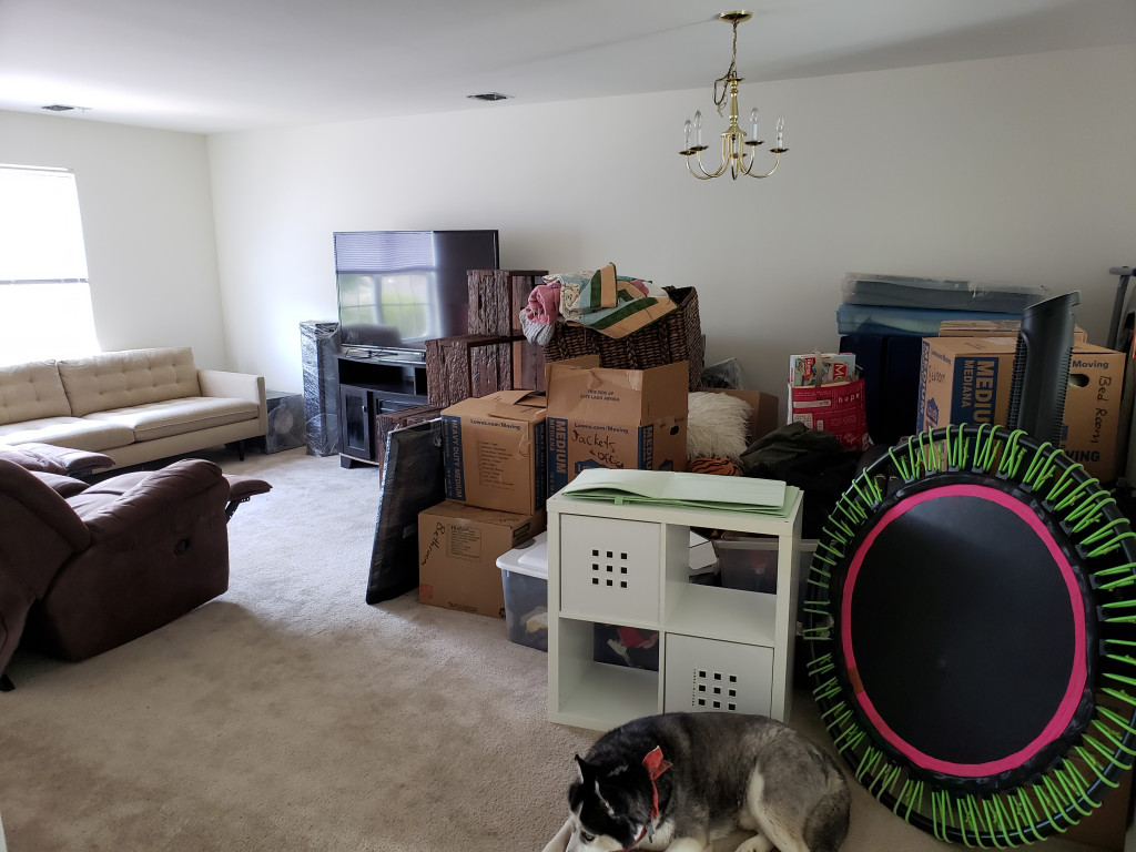 Photo by Geovanny Alvarenga of FlatRate Moving - Large