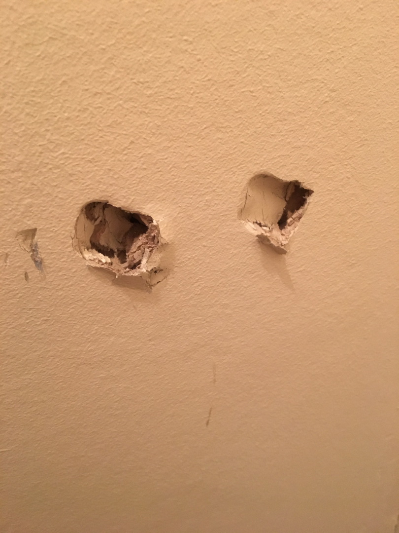 Second photo by Dr Des Oliver of AnyVan - Large