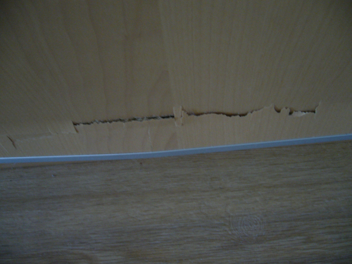 Photo by Manfred Freese of Treffpunkt-Umzug24 - Large