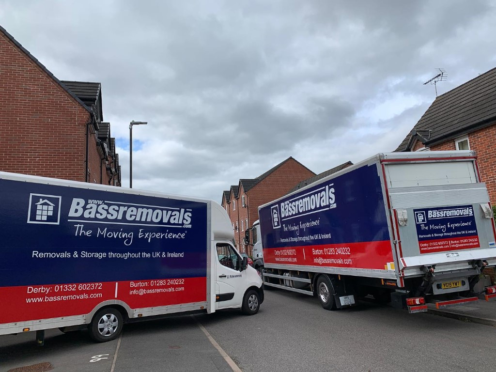 Photo by Tasmin Ridges of Bass Removals - Large