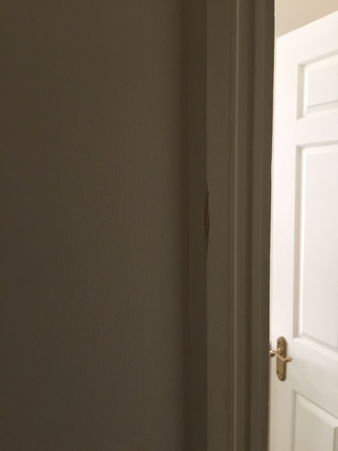 Photo by Jamal of Best Rate Removals Ltd - Large