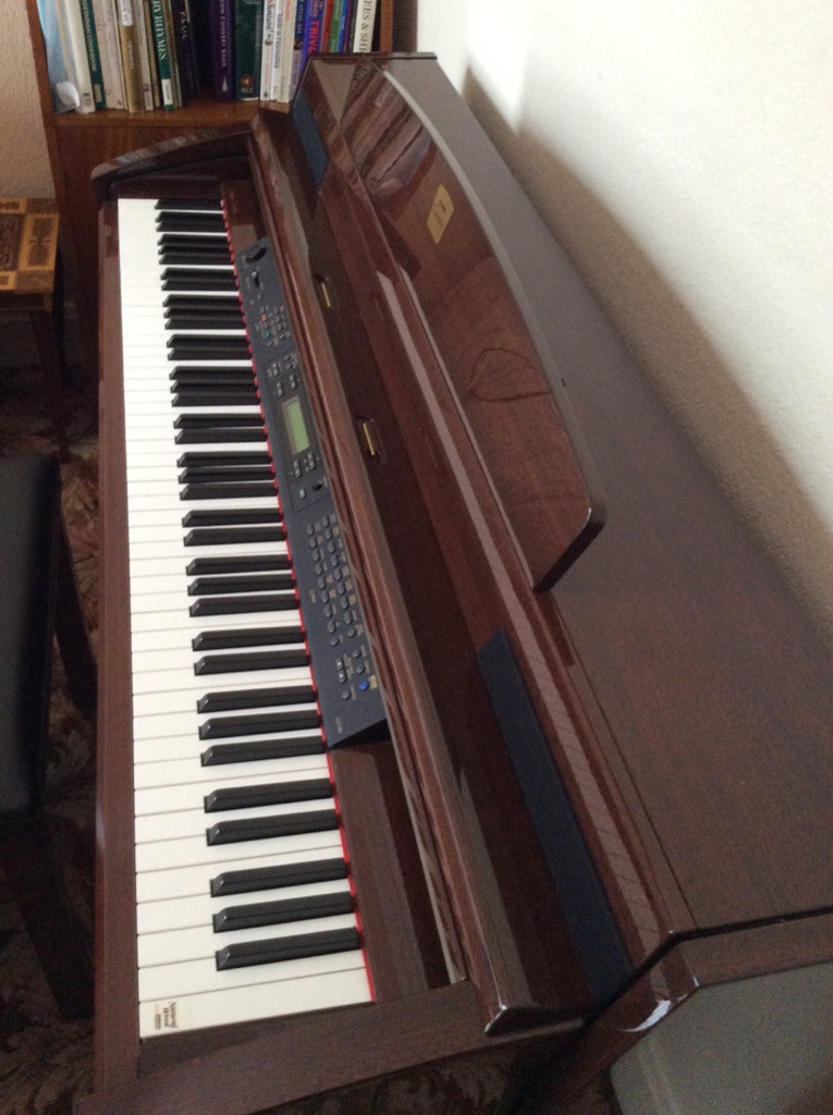 Photo by Sheila Galbraith of Scot Removals - Large