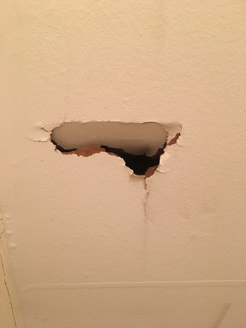 Photo by Dr Des Oliver of AnyVan - Large