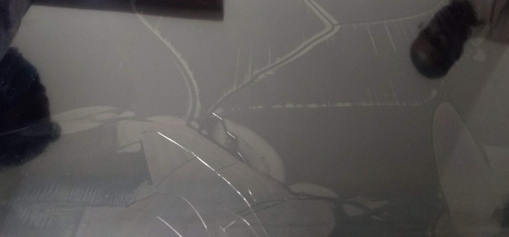 Photo by Rejath Ajayan of Universal Relocations - Large