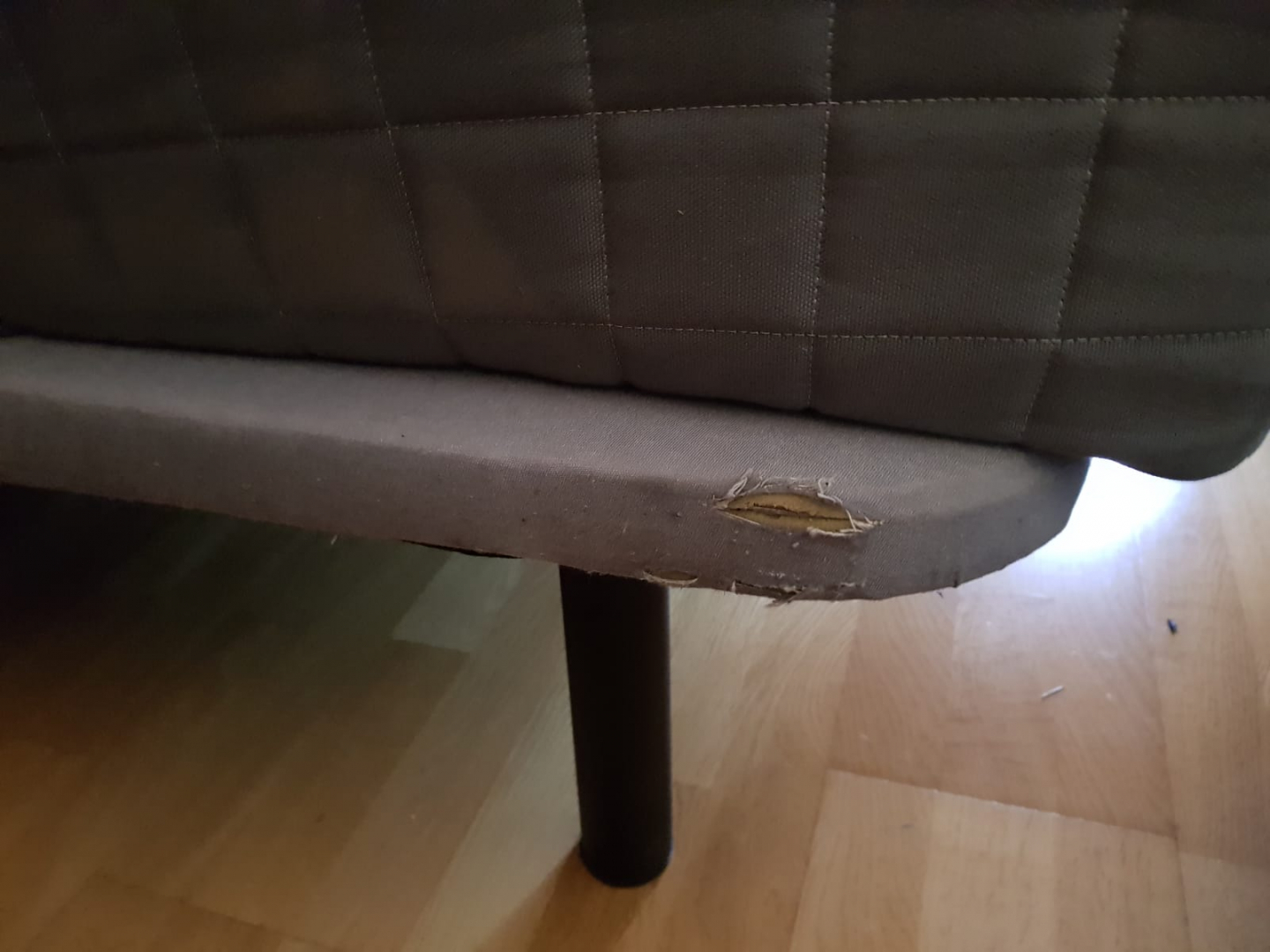 Second photo by Lilian Mendoza of European Moving - Large