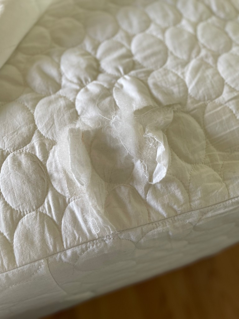 Photo by Linda Vigdor of FlatRate Moving - Large