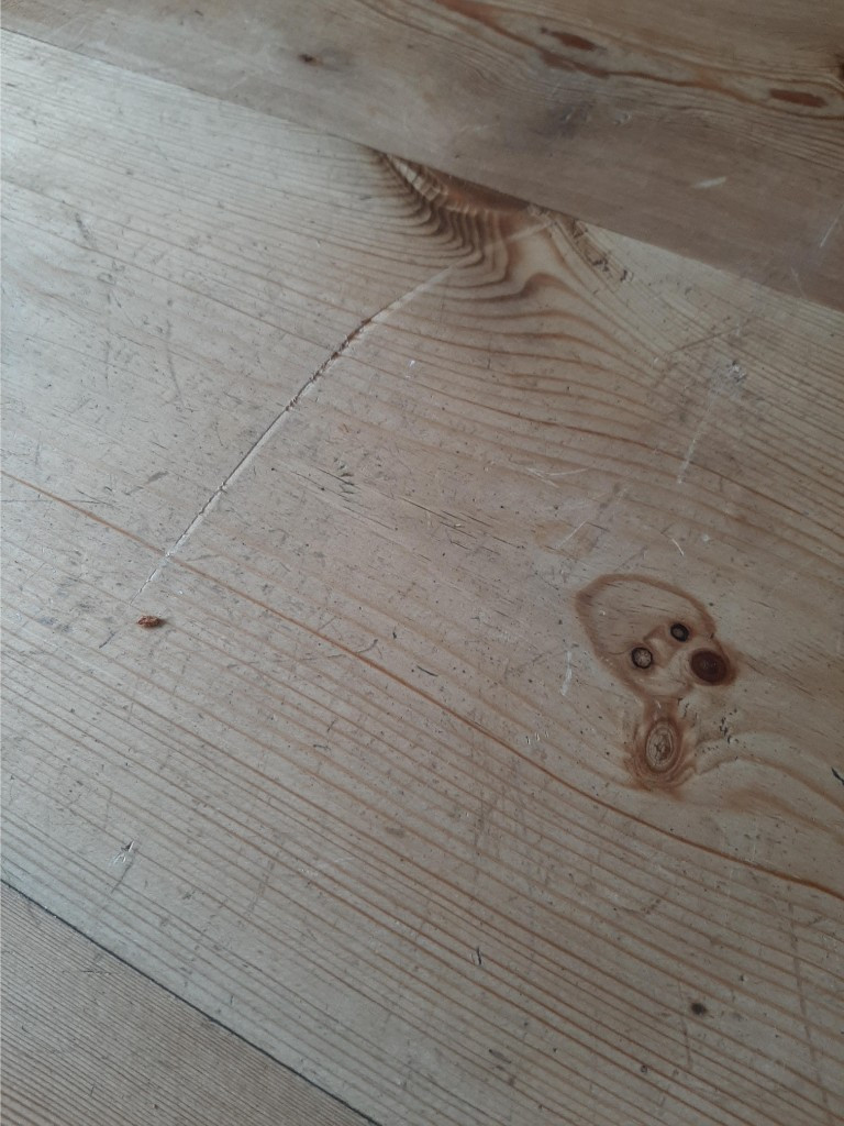 Photo by Lesley Brown of Skyline Removals - Large