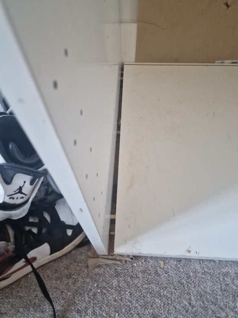 Second photo by Alison Griffith Palmieri of GetGreen Moves - Large