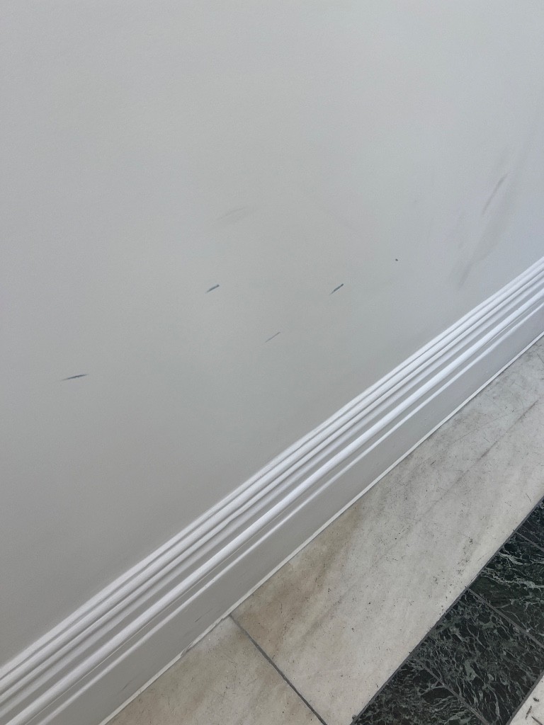 Photo by Esser Lemley of Fantastic Removals - Large