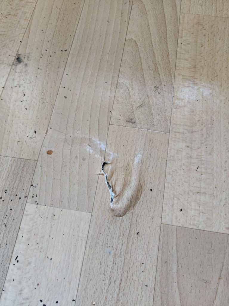 Photo by Dell Baines of Cornerstone Removals - Large