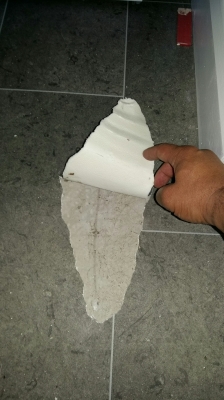 Photo by Zed of Handy Moves - Large