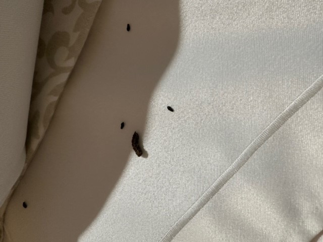 Second photo by Chris Gruenewald of Der Umzugsschreiner - Large