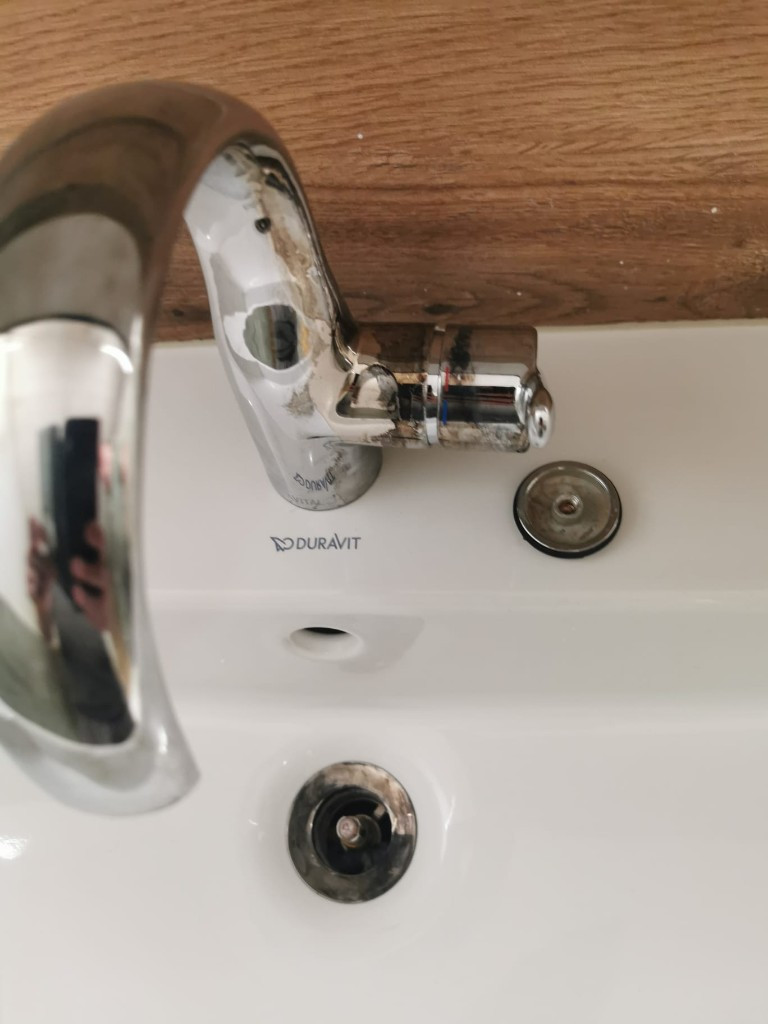 Photo by Ann Tschanz of Swiss Moving Service AG - Large