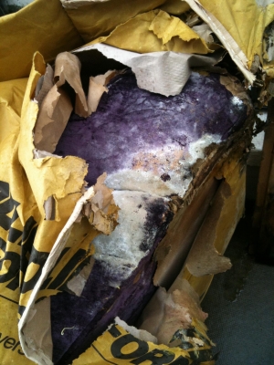 Photo by Melinda of Pickfords - Large