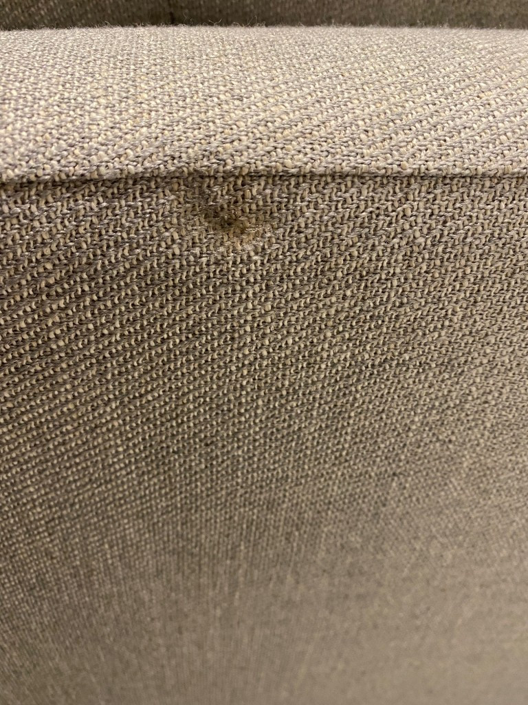 Photo by Roy Raphael of Bishops Waltham Removals - Large