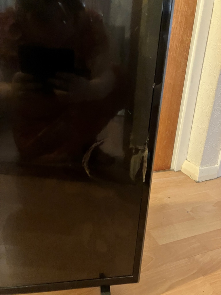 Photo by Simon Hood of Tigers Removals - Large