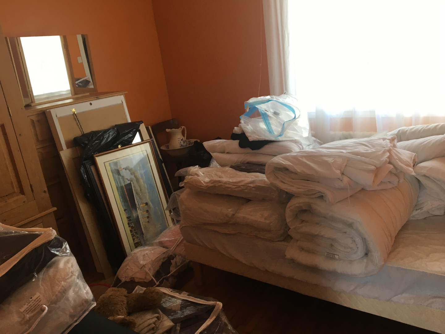 Second photo by Ian Burns of Europeremove - Large