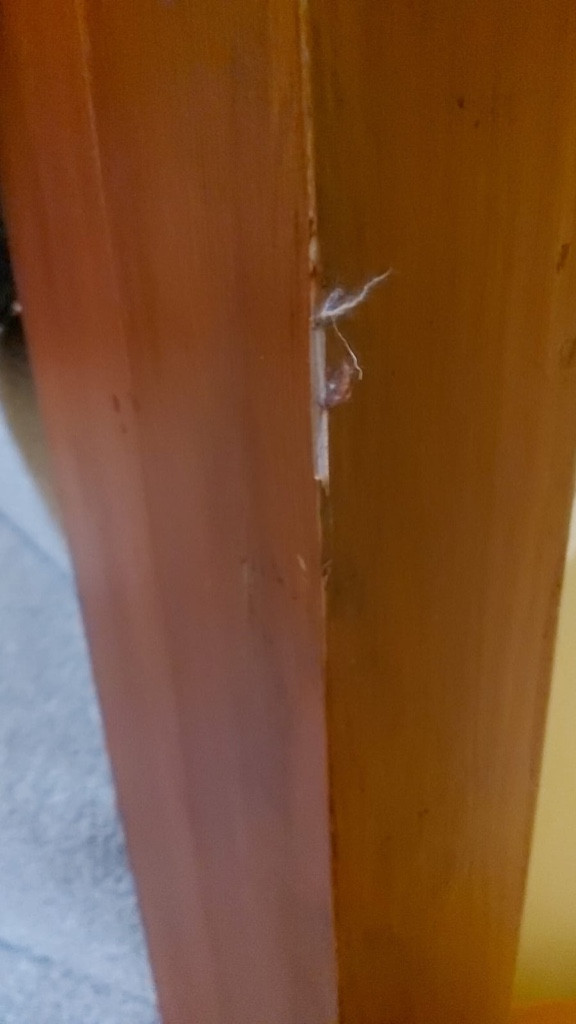 Second photo by Claire Carrothers of Relocate Removal Company Limited - Large