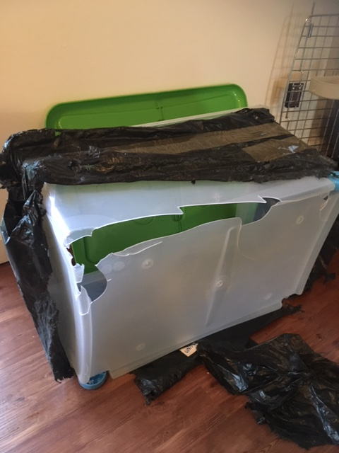 Photo by Shanis of Anglo Pacific - Large