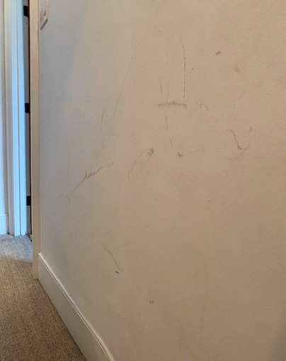 Second photo by Yuki Sumner of AnyVan - Large