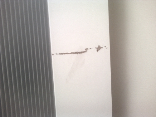 Photo by O-ren Ishii of Nicks Removals - Large