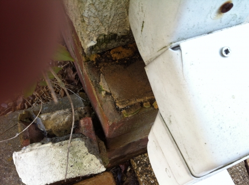 Second photo by Christine Phillips of Simply Removals - Large