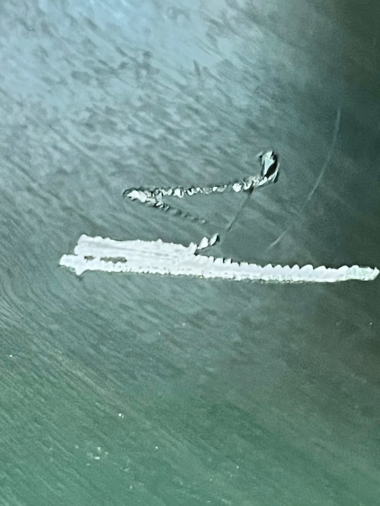 Second photo by Stephanie Winters of AnyVan - Large