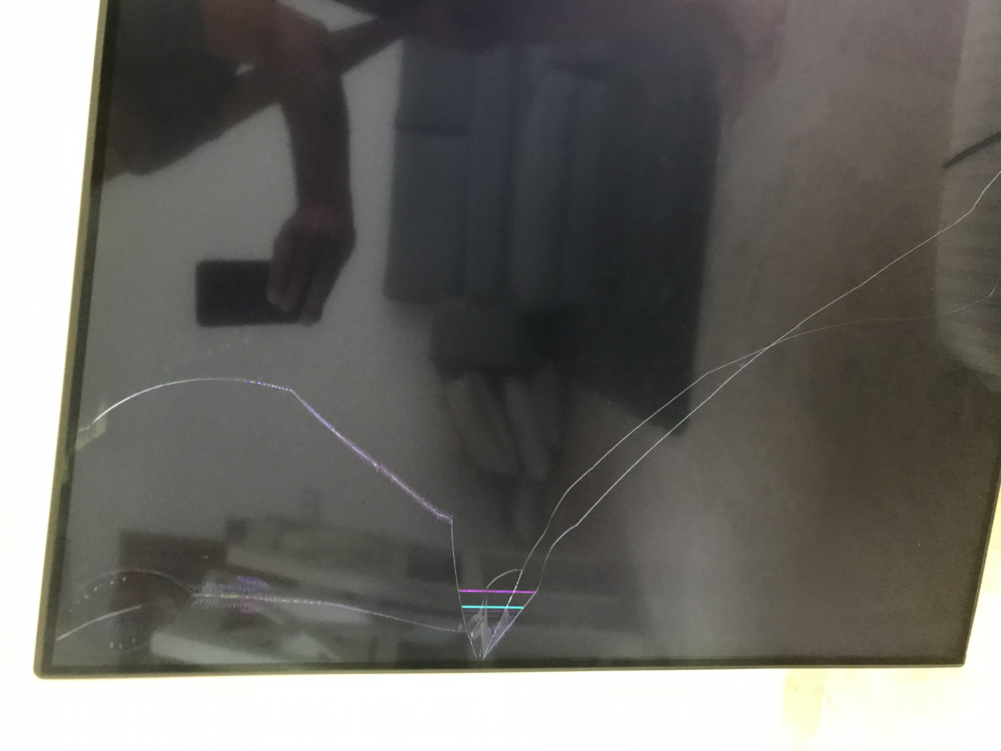 Photo by Colin of European Moving - Large