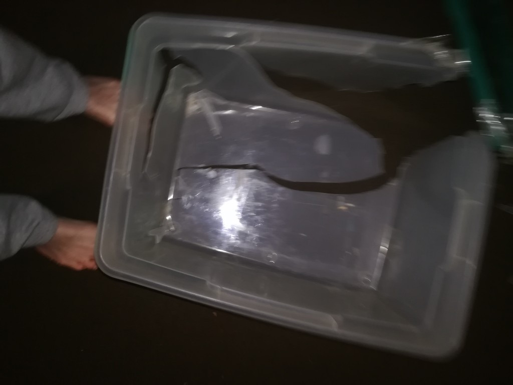 Second photo by Justin Whippo of Seven Seas Worldwide - Large