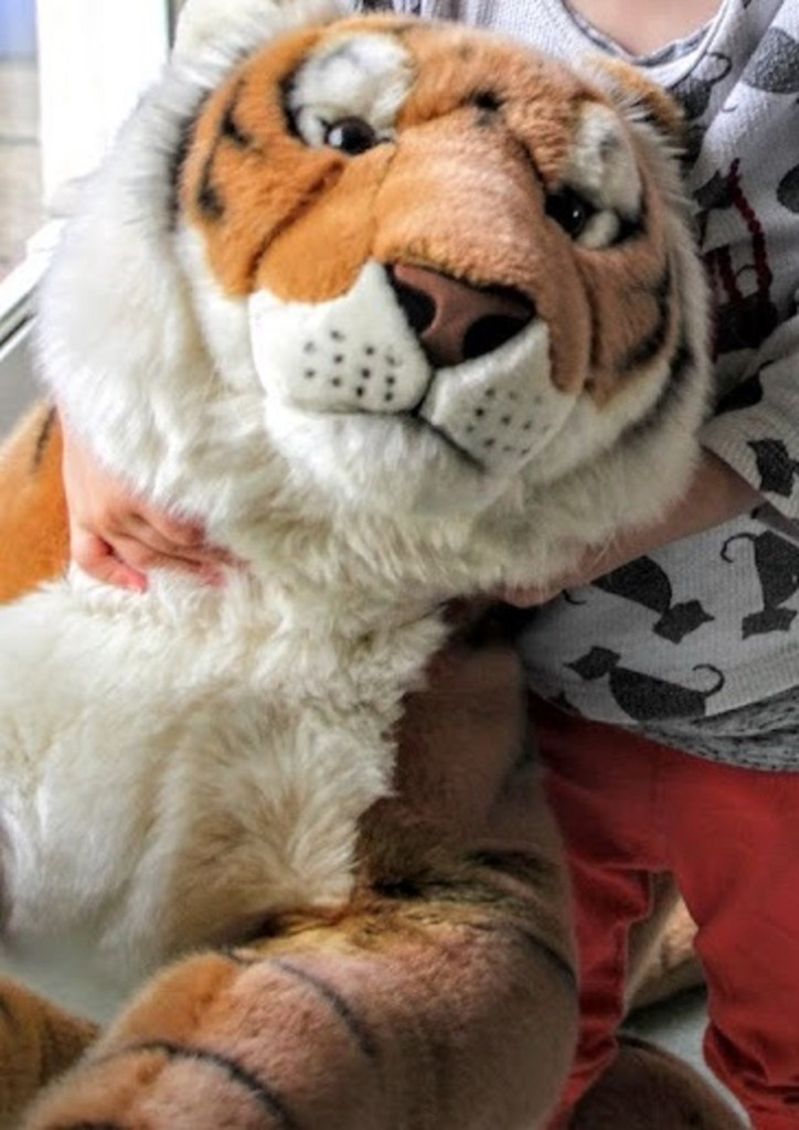 Second photo by Andrew Sinclair of Callan Removals - Large