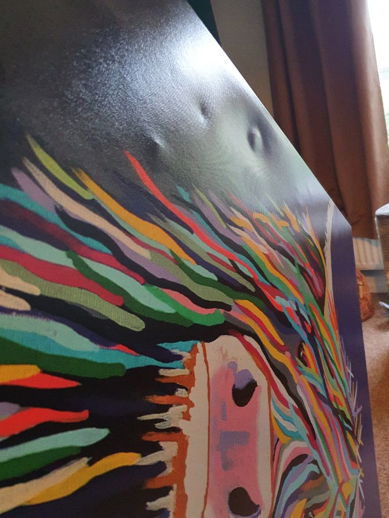 Photo by John James Thomson of Kilmarnock Removals International - Large