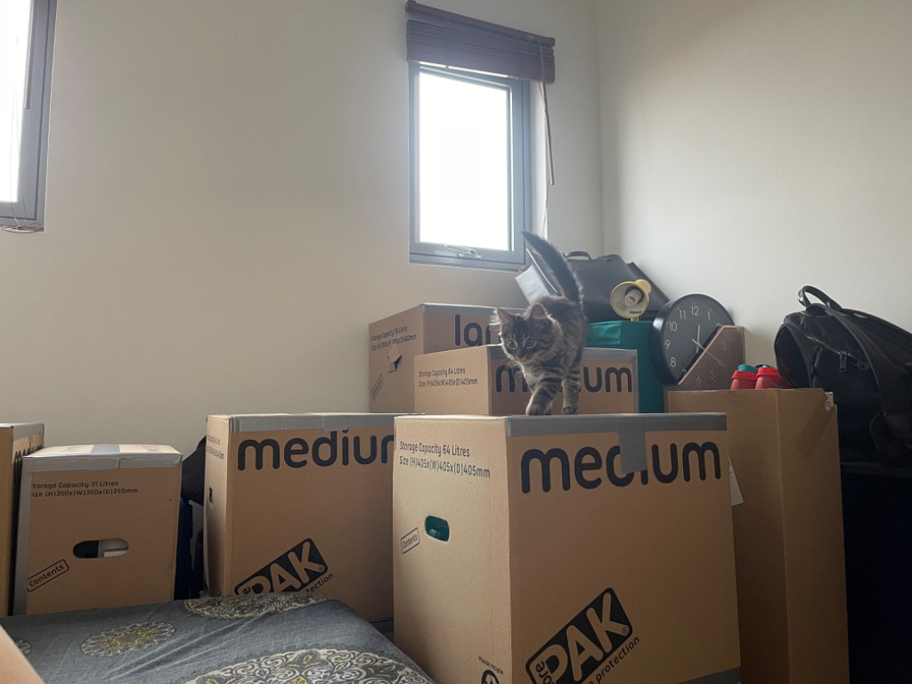 Second photo by Karl Joseph Martin of Removals Expert - Large