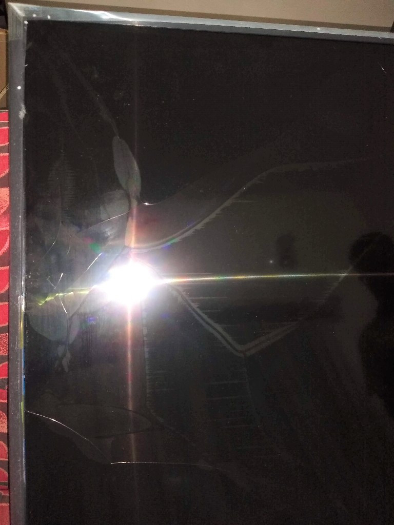 Second photo by Rejath Ajayan of Universal Relocations - Large