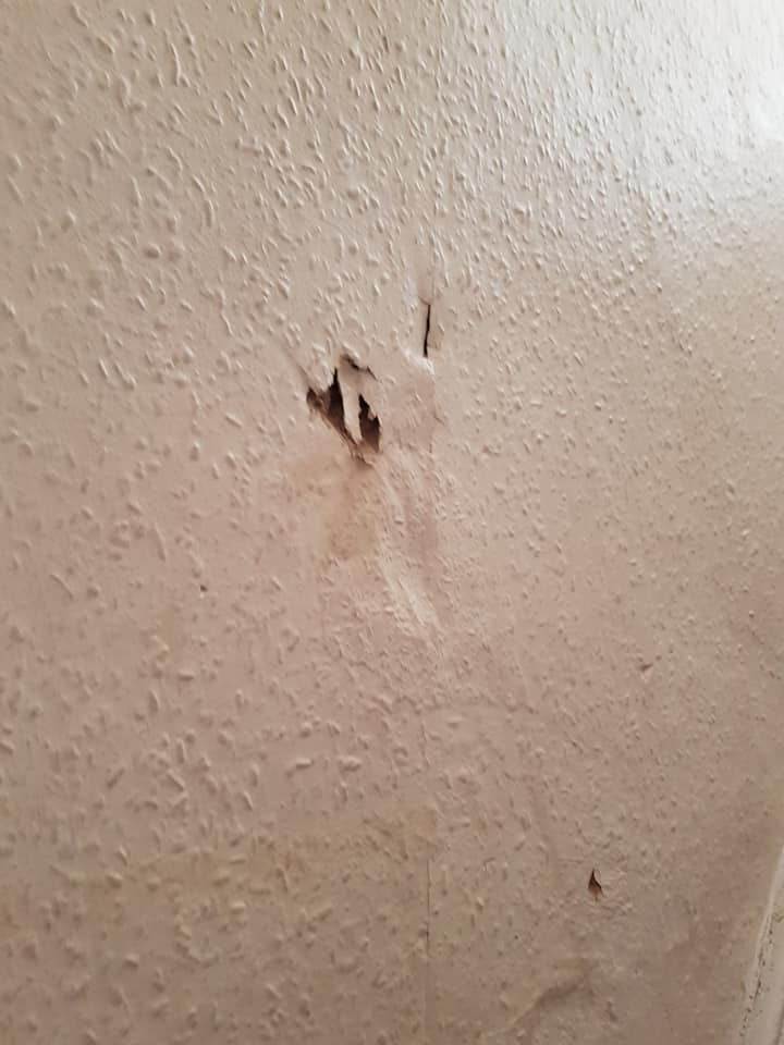 Second photo by Mish Kimani of Albert Miles Group Ltd - Large