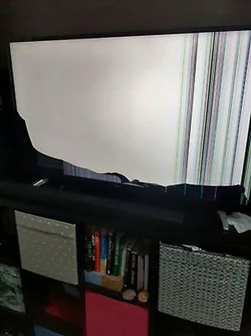 Photo by Adriana Andujar of AB4U Removals - Large