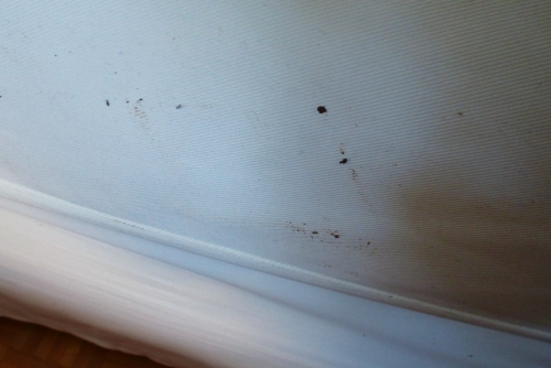 Photo by Hans Hubert of Güter Thein - Large