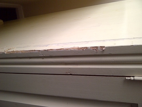 Second photo by Kate Harrison of Handy Moves - Large